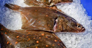 Nordpesca
